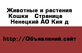 Животные и растения Кошки - Страница 4 . Ненецкий АО,Кия д.